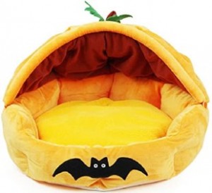 a halloween pet bed
